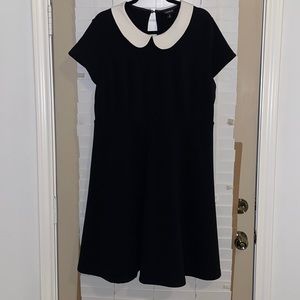 Torrid Peter Pan collar dress • Size 2 (2X) New w/o tags